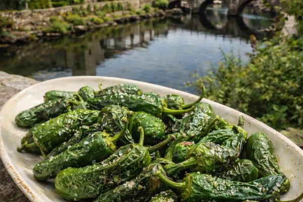 Pimientos padron