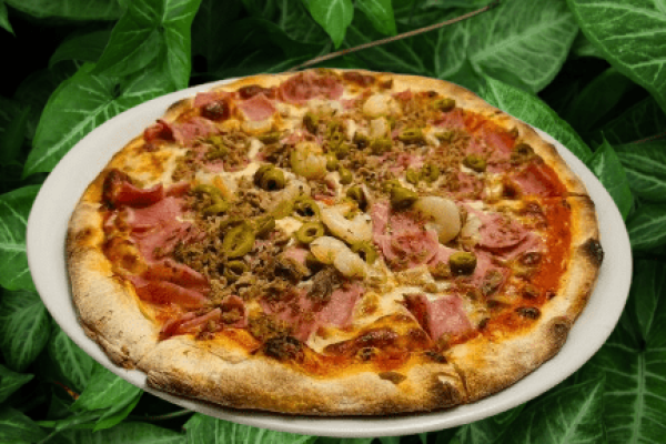 Sardeña removebg preview